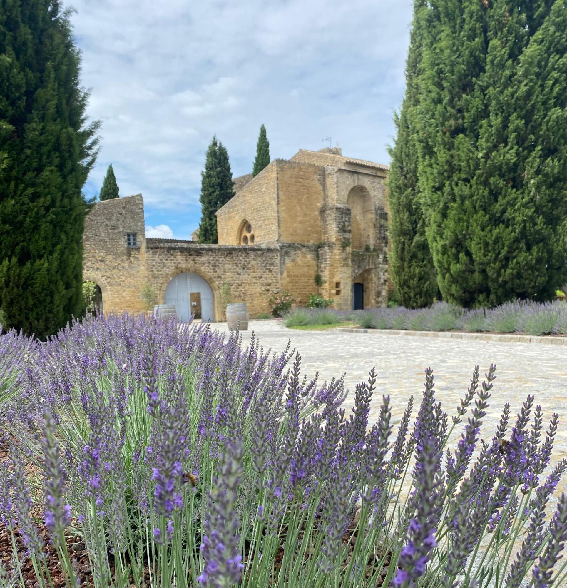 Chateau Saint-Pierre De Mejans Puyvert Exterior photo
